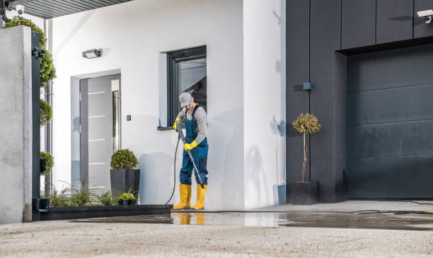 Best Driveway Pressure Washing  in Grafton, WV